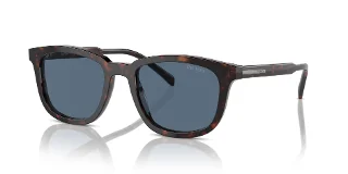 17N06A Radica Tortoise