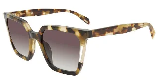 Tortoise (0728)