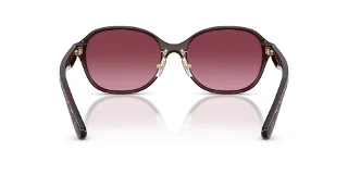 Coach Sunglasses HC8445D
