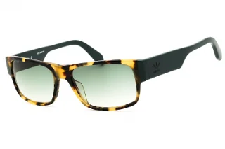 55P Coloured Havana / Gradient Green