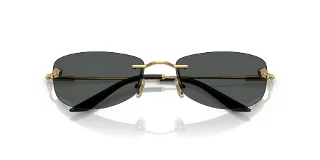 Versace Sunglasses VE2279