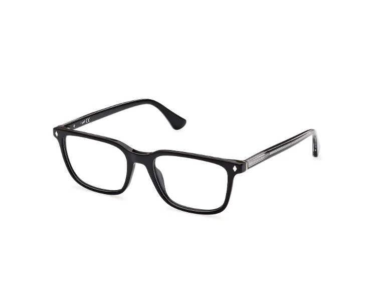 Web Eyeglasses WE5391