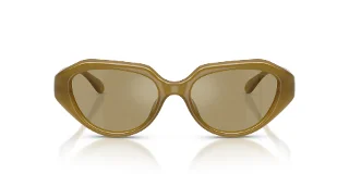 Coach Sunglasses HC8433U