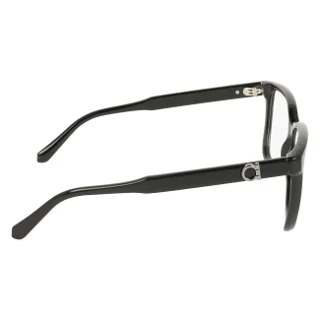 Salvatore Ferragamo Eyeglasses SF3043E