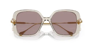 Swarovski Sunglasses SK6011F