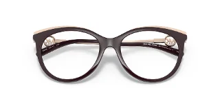 Michael Kors Eyeglasses MK4089U