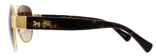 Coach Sunglasses HC7059 L138