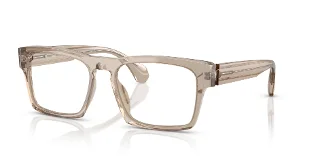 002 Transparent Ostrich