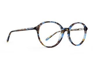 C2 Blue Tortoise
