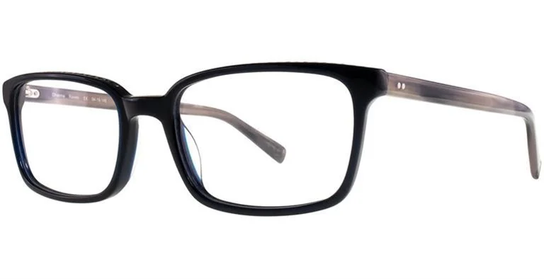 Kata Eyeglasses Dharma