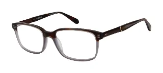 5B0 TORTOISE
