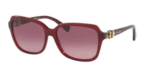 Coach Sunglasses HC8179 L1598