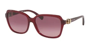 Coach Sunglasses HC8179 L1598