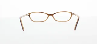 Polo Eyeglasses PP8501