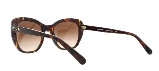 Coach Sunglasses HC8204 L1631