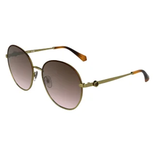 213 Brown Gradient