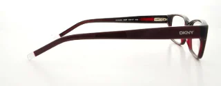 Dkny Eyeglasses DY4592