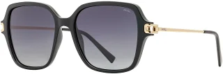 C02 Black/Gold