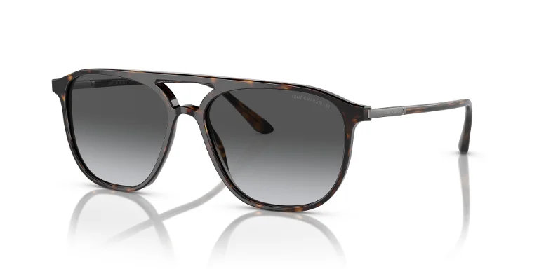Giorgio Armani Sunglasses AR8179