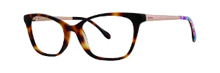 Tortoise Via Flora