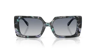 Coach Sunglasses HC8409U