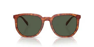 Coach Sunglasses HC8384U