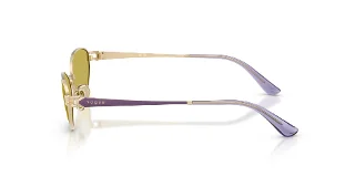 Vogue Sunglasses VO4369S