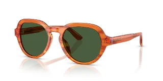 348371 Transparent Camel On Striped Ginger