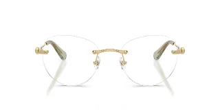 Swarovski Eyeglasses SK1021