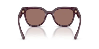 Coach Sunglasses HC8460U