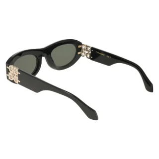 Salvatore Ferragamo Sunglasses SF2082SE