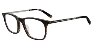 Black Tortoise