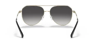 Michael Kors Sunglasses MK1109