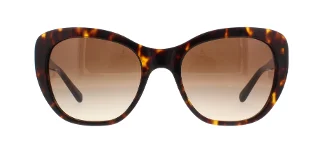 Coach Sunglasses HC8204 L1631