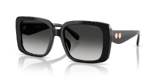Coach Sunglasses HC8424U