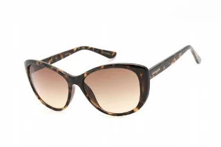 235 TORTOISE / Brown Gradient