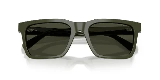 Emporio Armani Sunglasses EA4262U