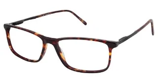 C03 Tortoise