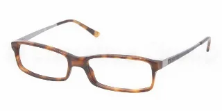 5303 Tortoise