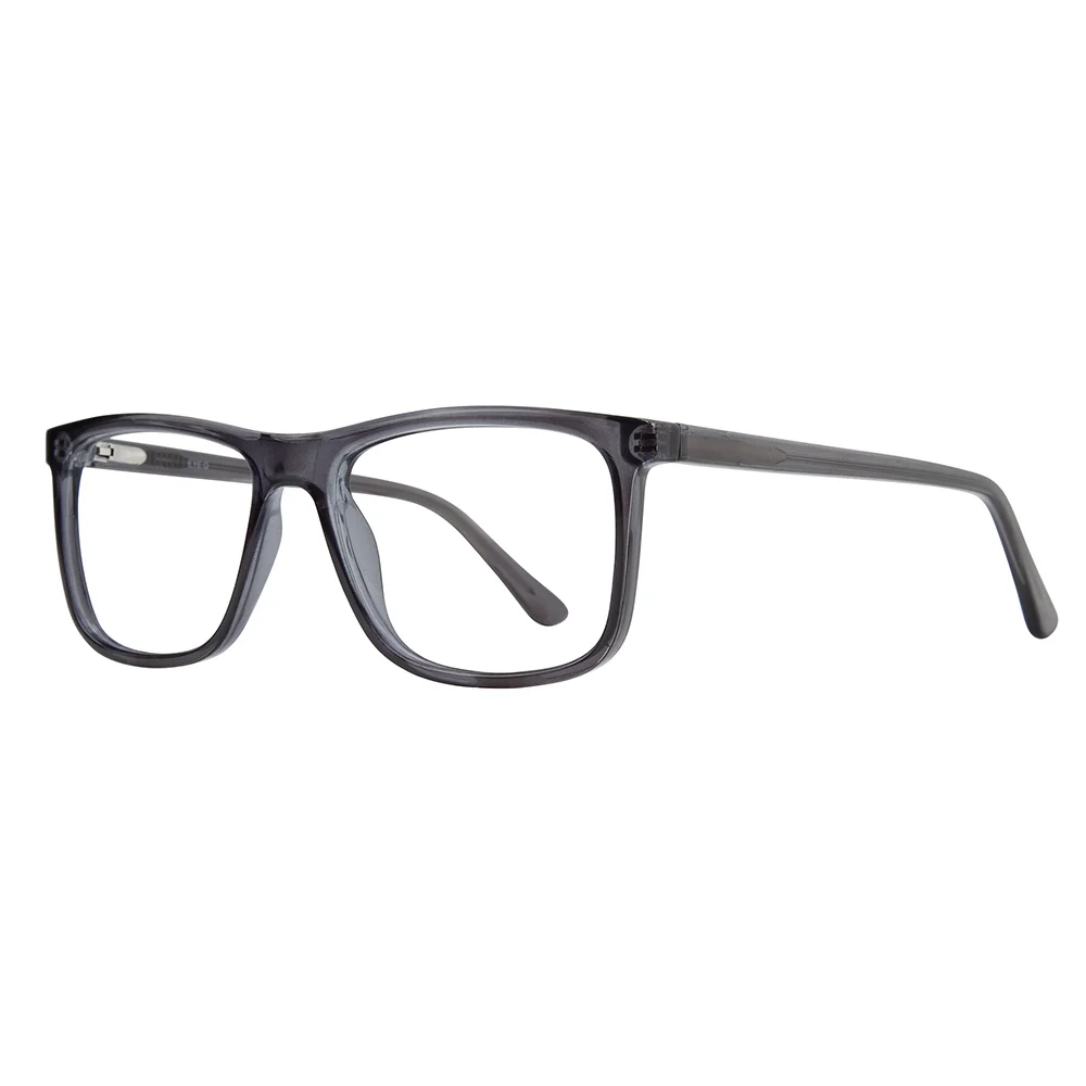 Stylewise Eyeglasses SW232