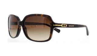 Coach Sunglasses HC8116 L087 Blair
