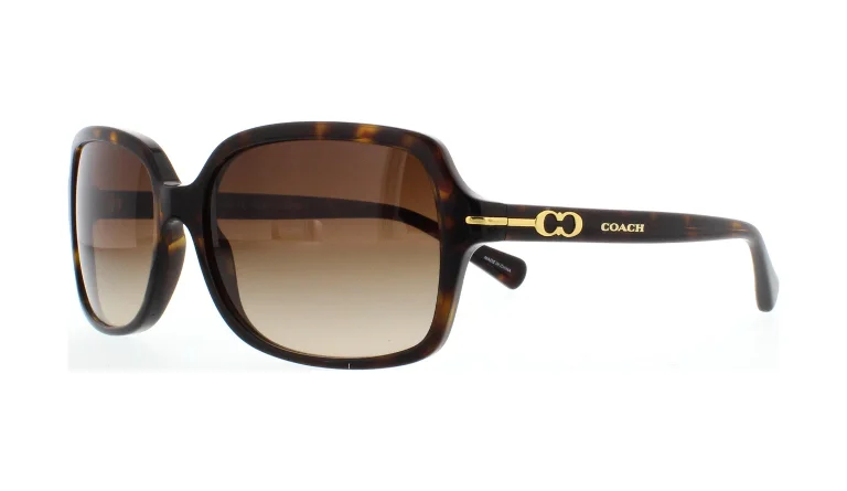 Coach Sunglasses HC8116 L087 Blair
