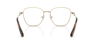 Swarovski Eyeglasses SK1019