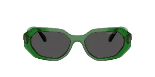 Swarovski Sunglasses SK6028F