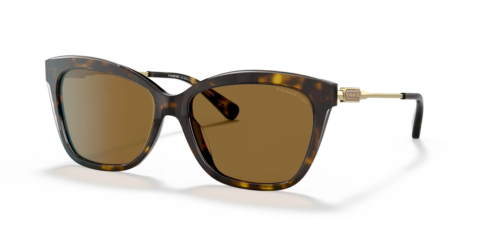 Coach Sunglasses HC8305