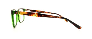 Polo Eyeglasses PH2090
