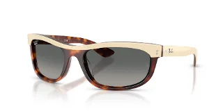144371 Beige Havana