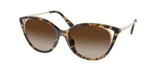 300613 Bio Dark Tortoise