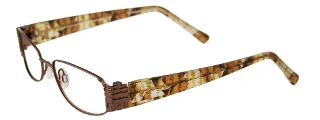 Easyclip Eyeglasses EC218