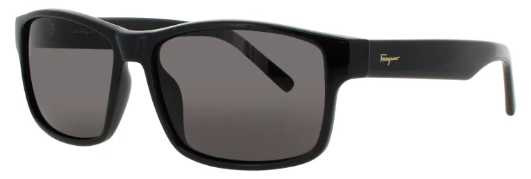 Salvatore Ferragamo Sunglasses SF960S